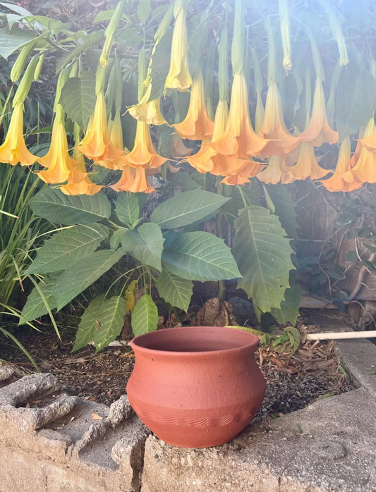 Unglazed Stoneware Planter no. 108